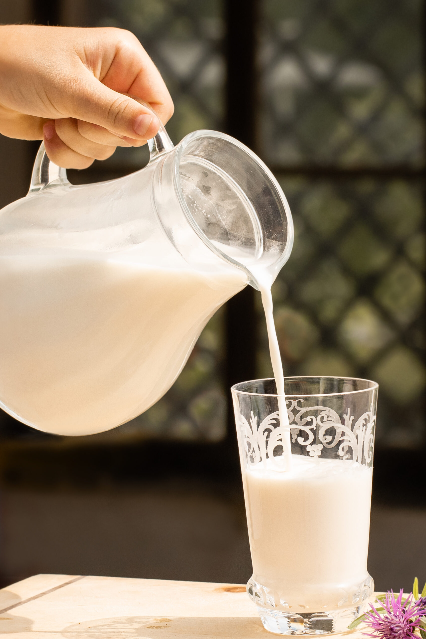 Projekt: Milch vom Salzburger Hornrind